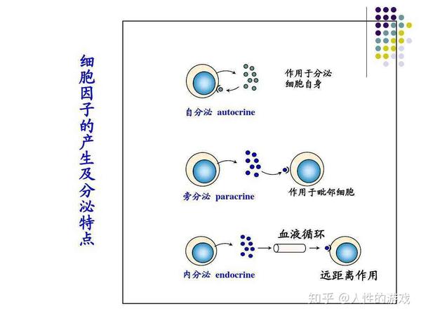 新型冠状病毒46细胞因子s型r型菌落多糖