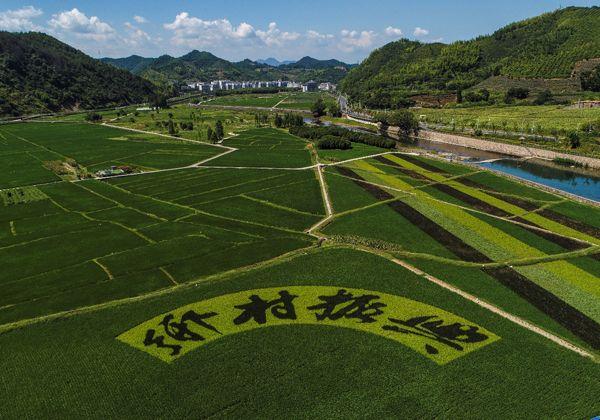 新闻陕西咸阳税务蓝为乡村振兴助力添彩