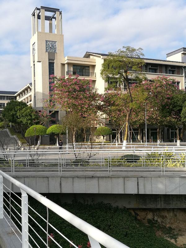 这是一条分割线-