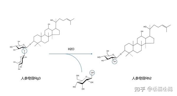 央视报道说人参皂苷rh2抗肿瘤活性最高,背后的根据在哪里?