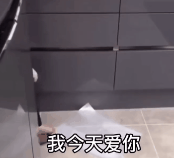 最新表情包动图怎么找沙雕可爱表情包