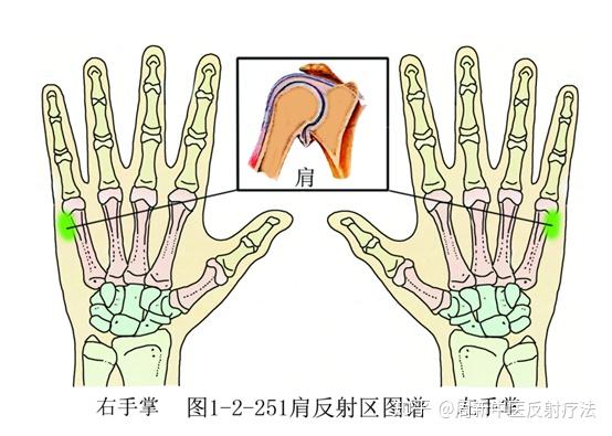 位于双手尺侧第5掌骨,指骨关节尺侧凹陷处.