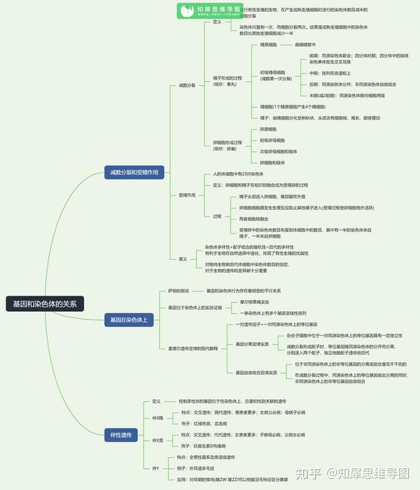 高中生物思维导图人教版知识框架图