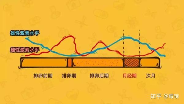 像经前烦躁,易怒等症状,便是由于 体内性激素的异常变化而出现的.