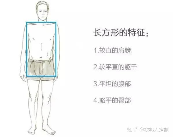 这种身形上身肩部,腰部,臀部三者的宽度基本相同,整体看起来略显清瘦