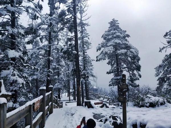 (西岭雪山雪景图)