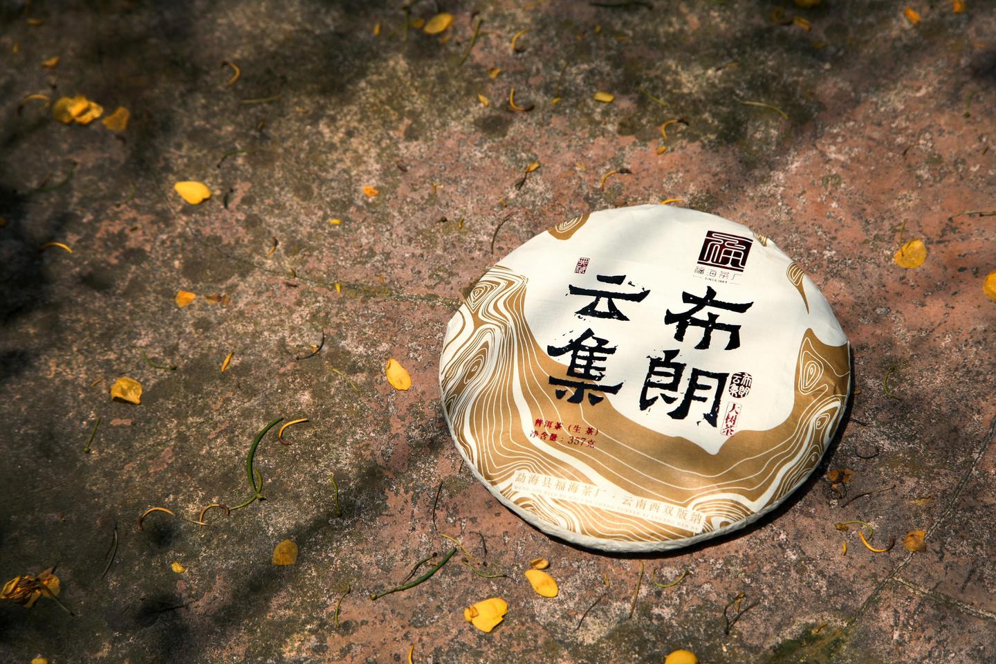 福海讲堂丨布朗山茶叶的滋味密码