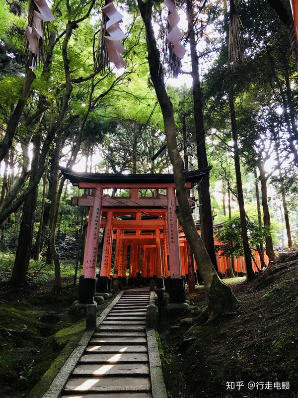 伏见稻荷神社神道教的巅峰道场