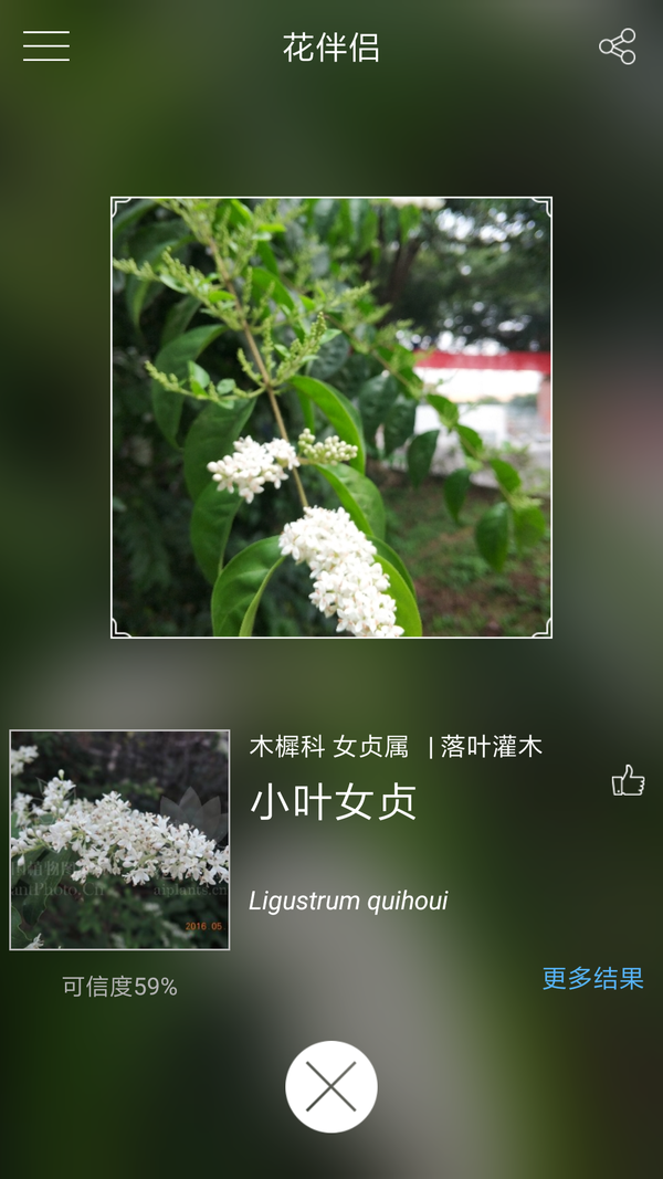 现有的植物识别的 app 准确率高不高?如何提高植物识别的准确率?