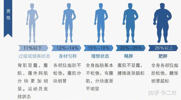 肥胖等级如何划分体脂率是最诚实的胖瘦指标