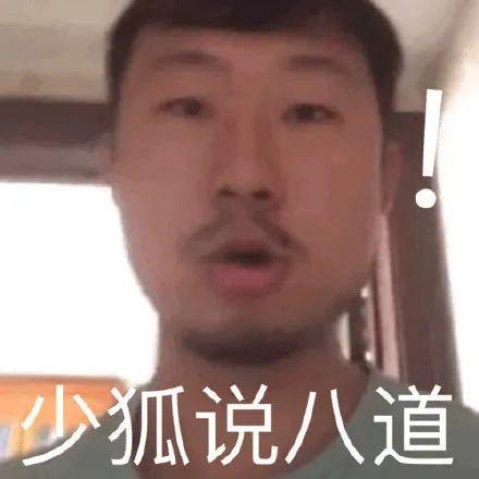 表情包藏狐小亮系列