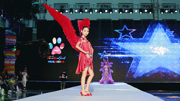 好嗨哟! 惠氏杯2019中国贵州首届孕婴童产业博览会即将开幕