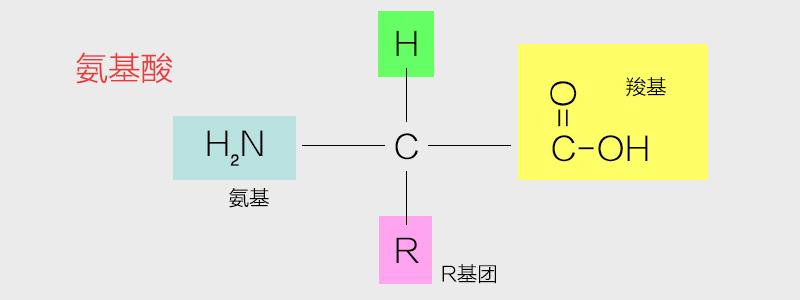 自然界仅二十种游离氨基酸,构成蛋白质基本单位.