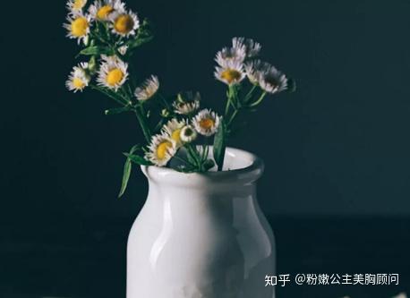 人无完人,孰能无过