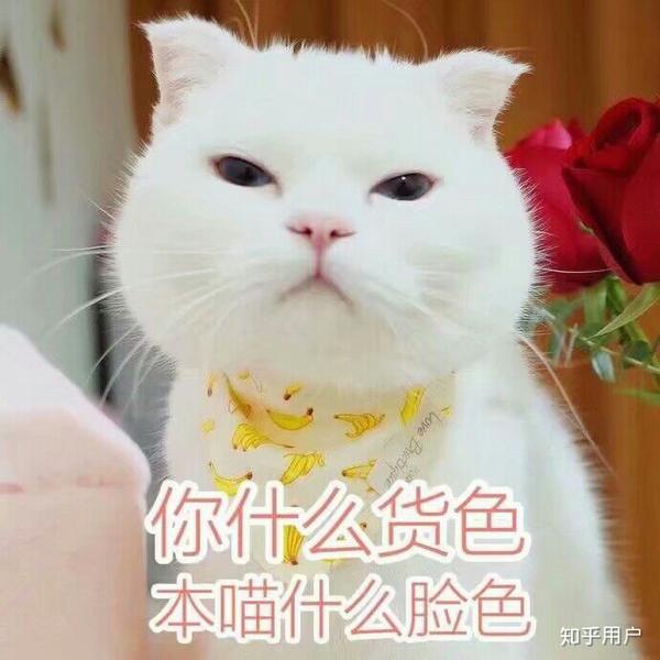 我tm真的是想一个大嘴巴子呼过去,你他妈的恶不恶心,我有什么