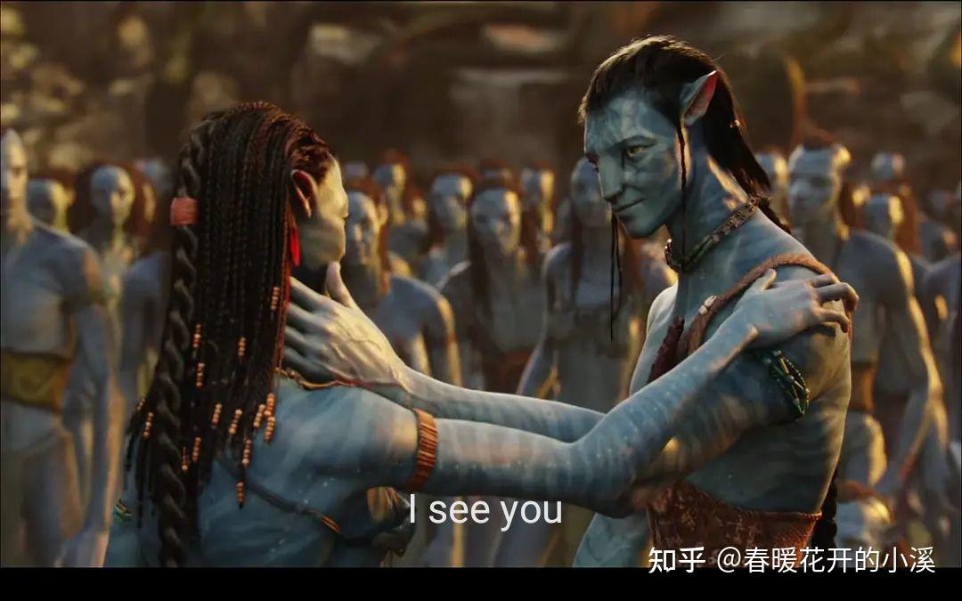 阿凡达》,时隔近一个年代,再看这部经典,感动我最深的是那句i see you