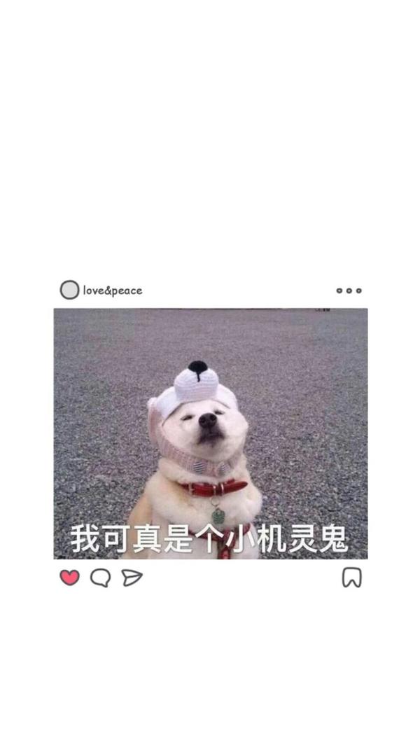 有哪些沙雕表情包