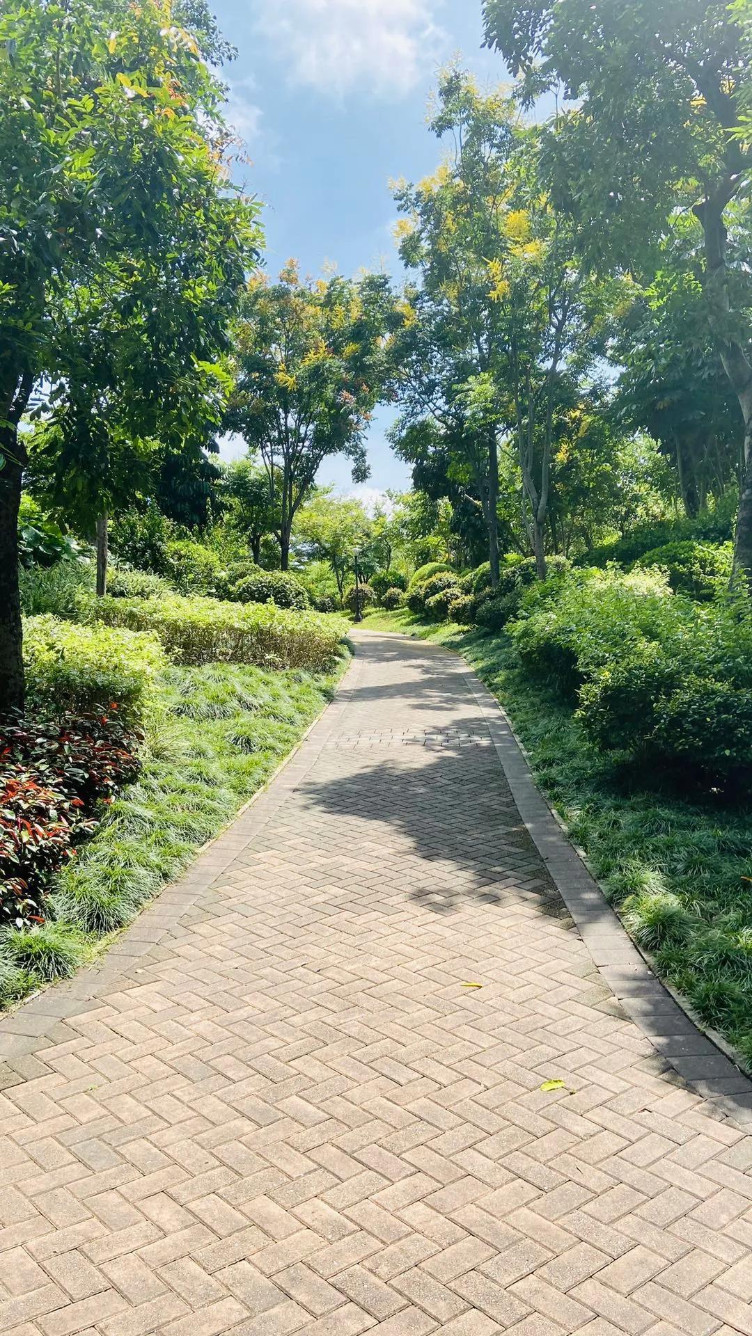 深圳最大公园-大沙河公园,周末节假日徒步游玩攻略