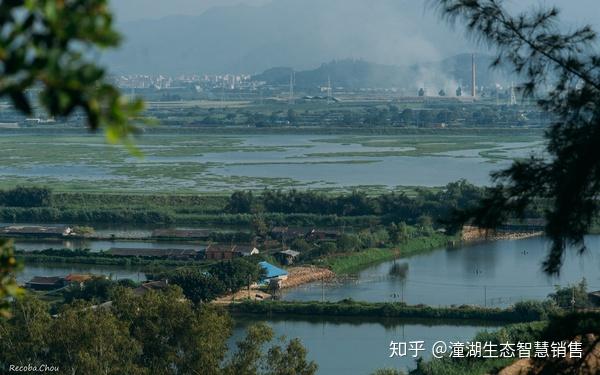 惠州潼湖湿地的最美季节秋水共长天一色
