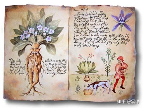 hp原著解析哈利波特名词中隐藏的各种神话溯源魔法植物和草药