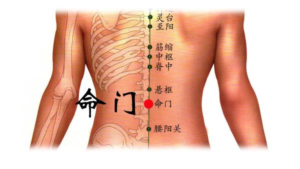 我们选灸大椎,风池,肾俞,命门,天突,膻中,气海,关元,丰隆.