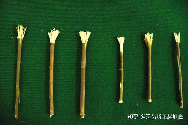 古人用什么刷牙想知道他们是怎么清洁牙齿的