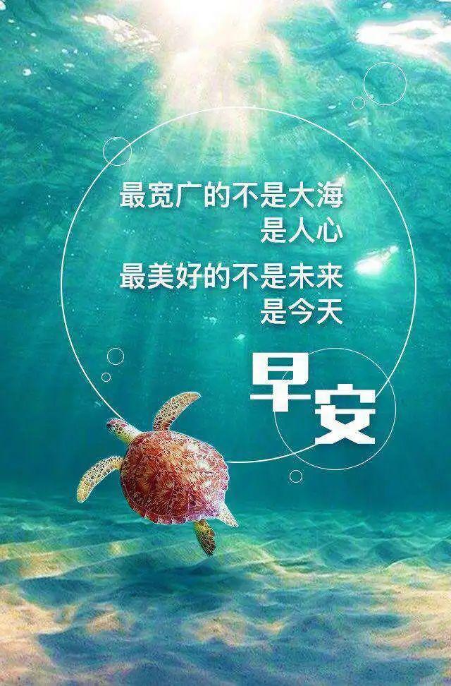 8月11日早上发朋友圈激励人心的好句子