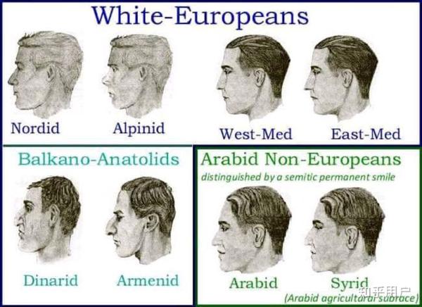 问: 欧洲人白种人有高鼻大眼,狭鼻窄脸的外貌特征,那么他们之中出现