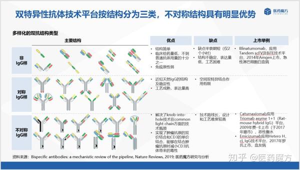 双特异性抗体研究报告