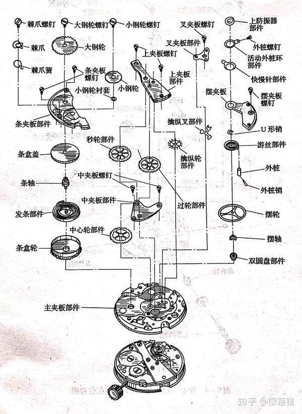 实操演示教学手把手教你认识机械表机芯各零部件