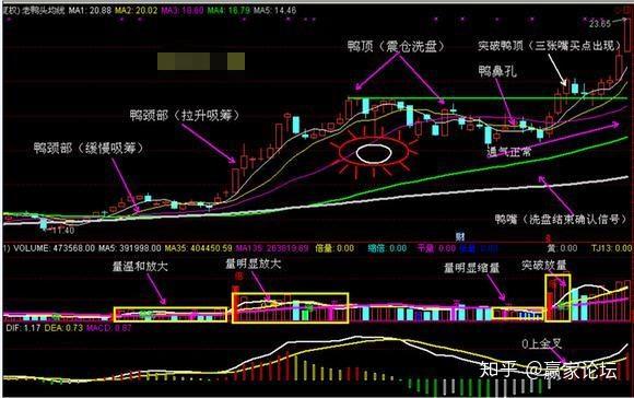 万一遇到老鸭头形态的股票马上重仓出击就这么简单