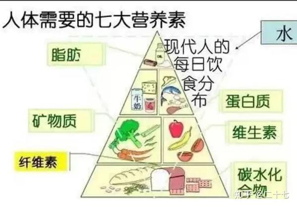 人体所需七大营养素与健康的关系