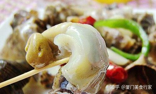 海螺脑为什么不能吃图片