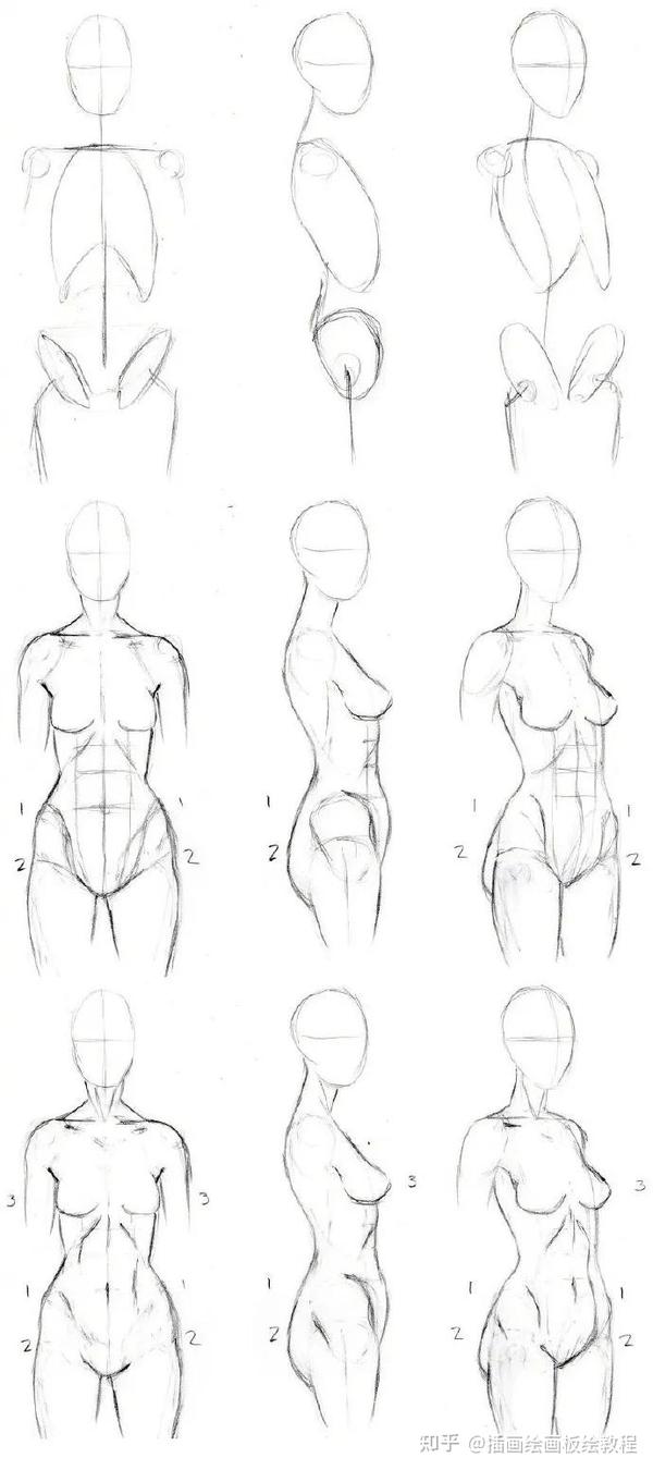 【绘画教程】动漫的肌肉怎么画?初学者教程!人体肌肉的正确画法教程!