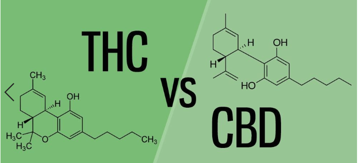 3.其中最丰富的两种大麻素是 thc(四氢