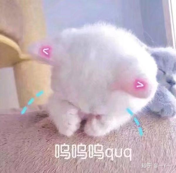 有什么适用于和老公/男票撒娇的可爱表情包?