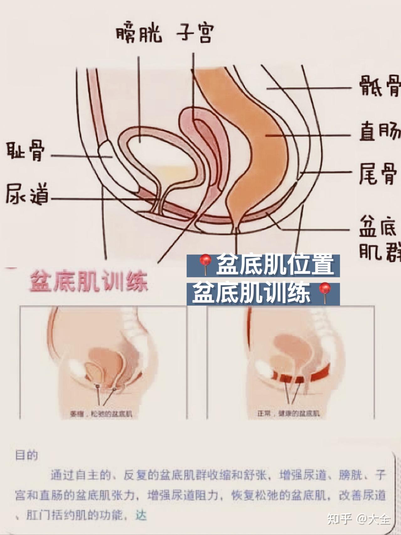 产后恢复盆底肌恢复经验分享