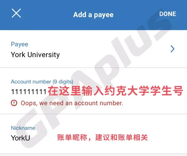 找到支付账单(pay bill),搜索收款方(payee) 约克大学(york