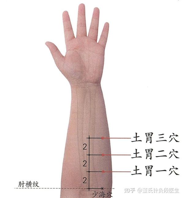 董氏针灸土胃穴,专门针对脾胃的穴位,功能强大