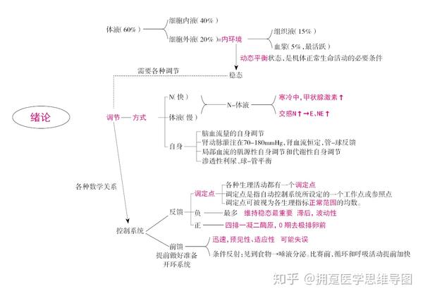 生理学绪论细胞的基本功能思维导图笔记重点