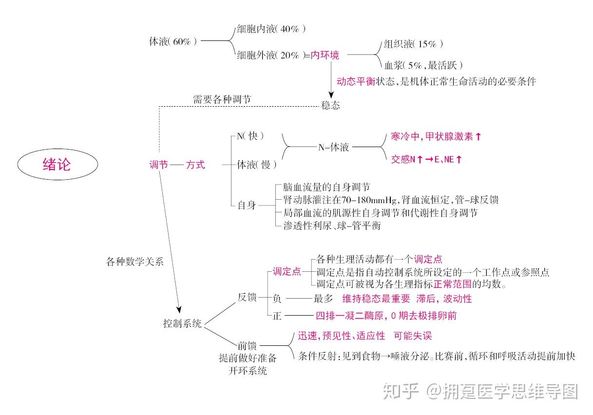 生理学绪论细胞的基本功能思维导图笔记重点