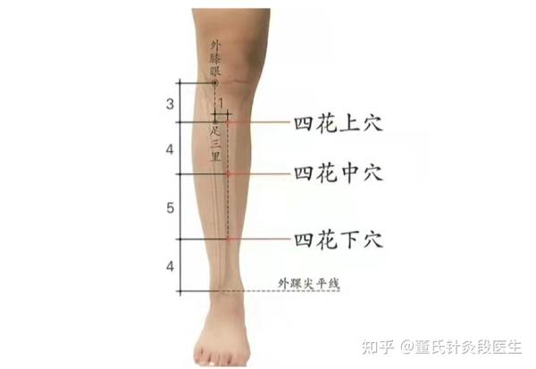 各位同学大家好今天给大家分享的是董氏针灸四花上中下穴