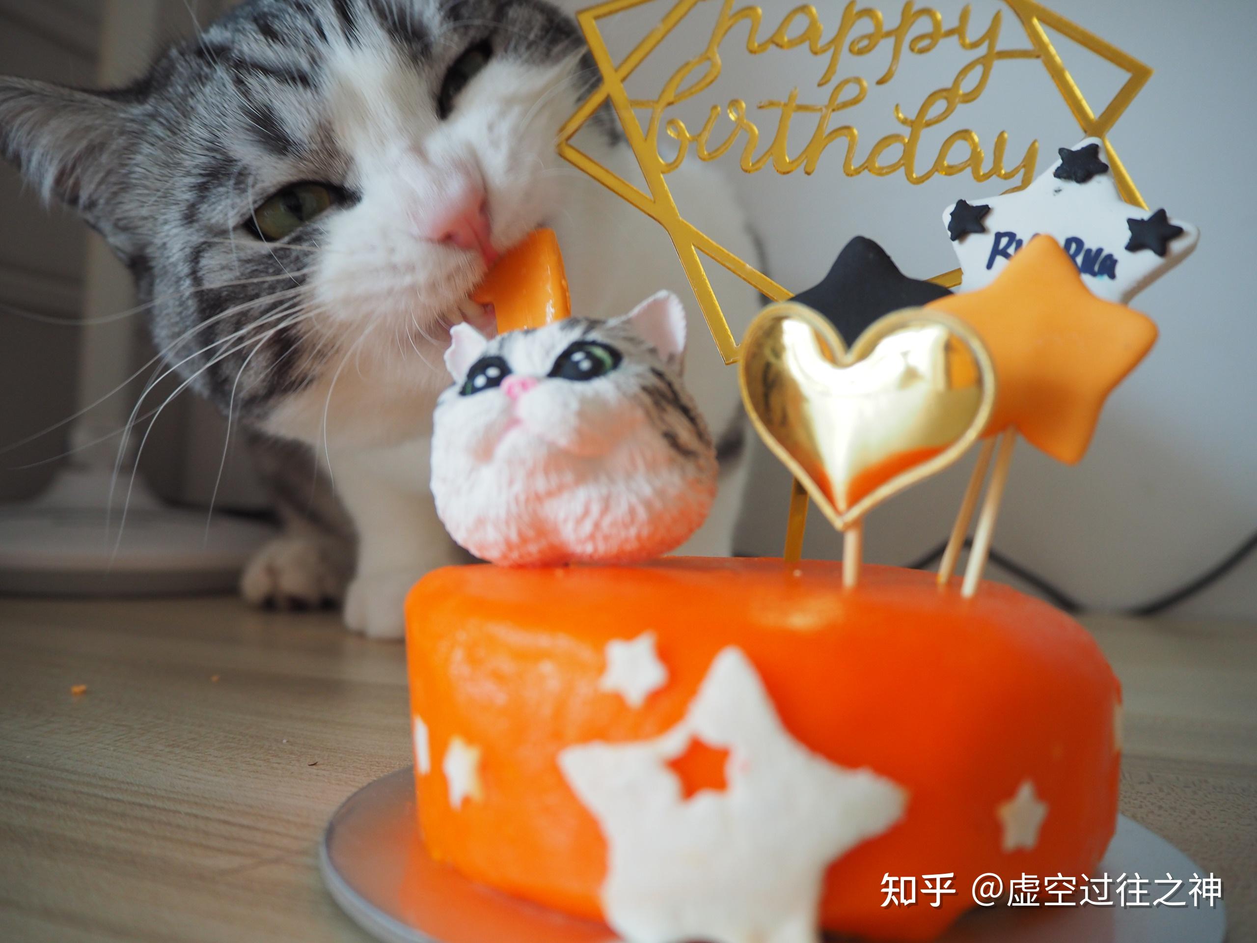 请问怎么给猫咪过生日呢