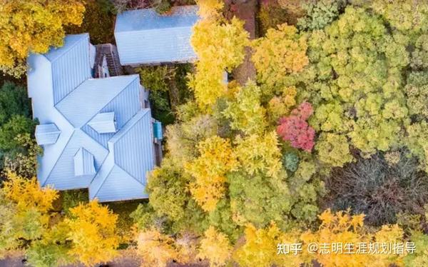 南京大学介绍(听听进入南京大学的卧底怎么说?
