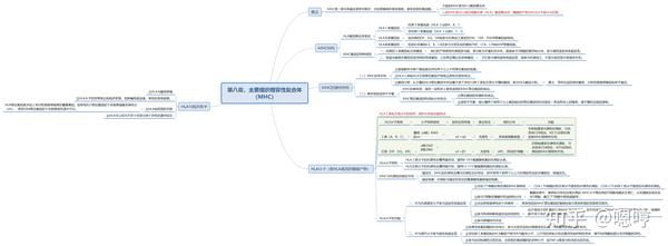 医学免疫学思维导图(八)主要组织相容性复合体(mhc)