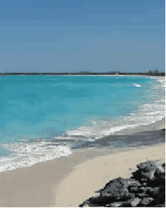 在深圳西冲最优质的一号海滩 白天 下海戏水,冲浪潜水 海滨娱乐一样