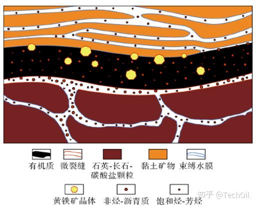 页岩油形成机制地质特征及发展对策院士