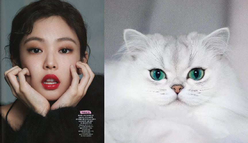 猫系少女jennie可奶可凶太迷人