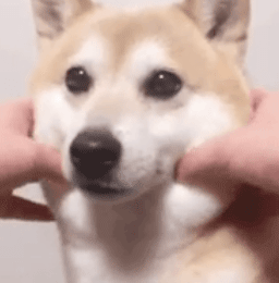 吧,可能几年可能长达几十年,希望题主可以活的开心,跟这个世界和解,跟