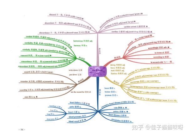 英语词根词缀思维导图-c